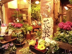 俺が花屋だ！ね。いいでしょ、このお花屋さん。