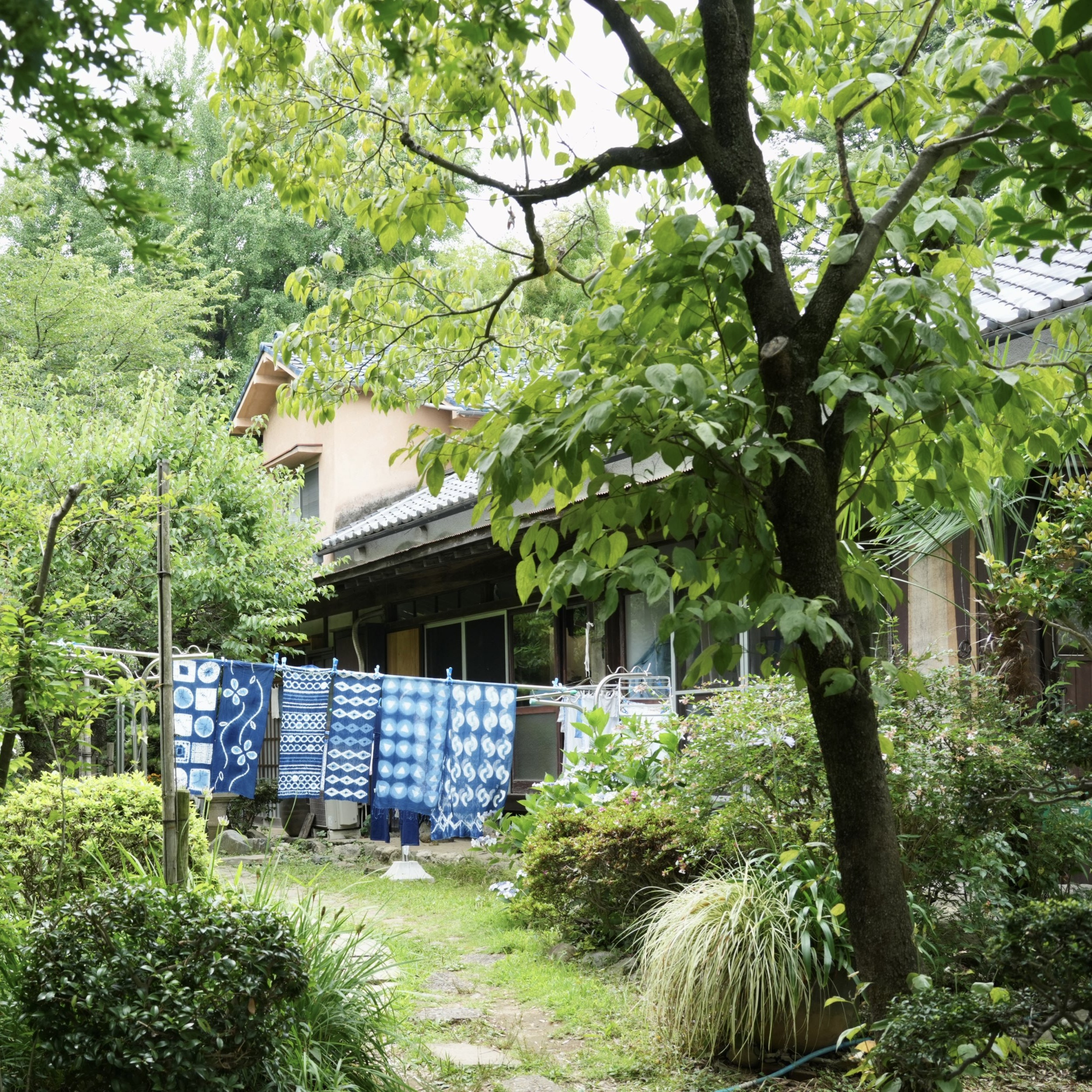 色の収穫から、作品になるまでを一貫して行う染織工房で。手しごと体感ツアー＆藍の生葉染め体験。