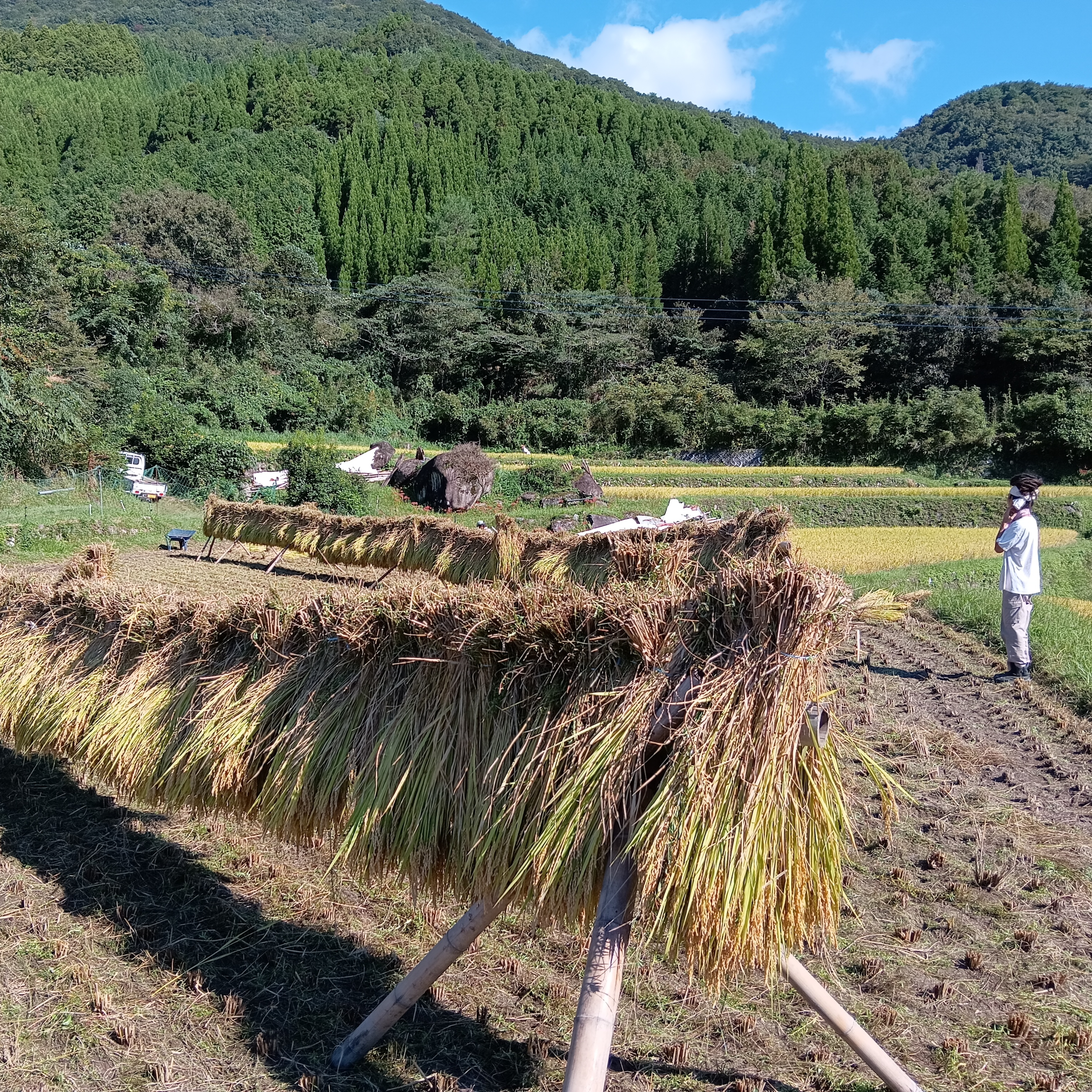 なおてぃさんのおはなし会