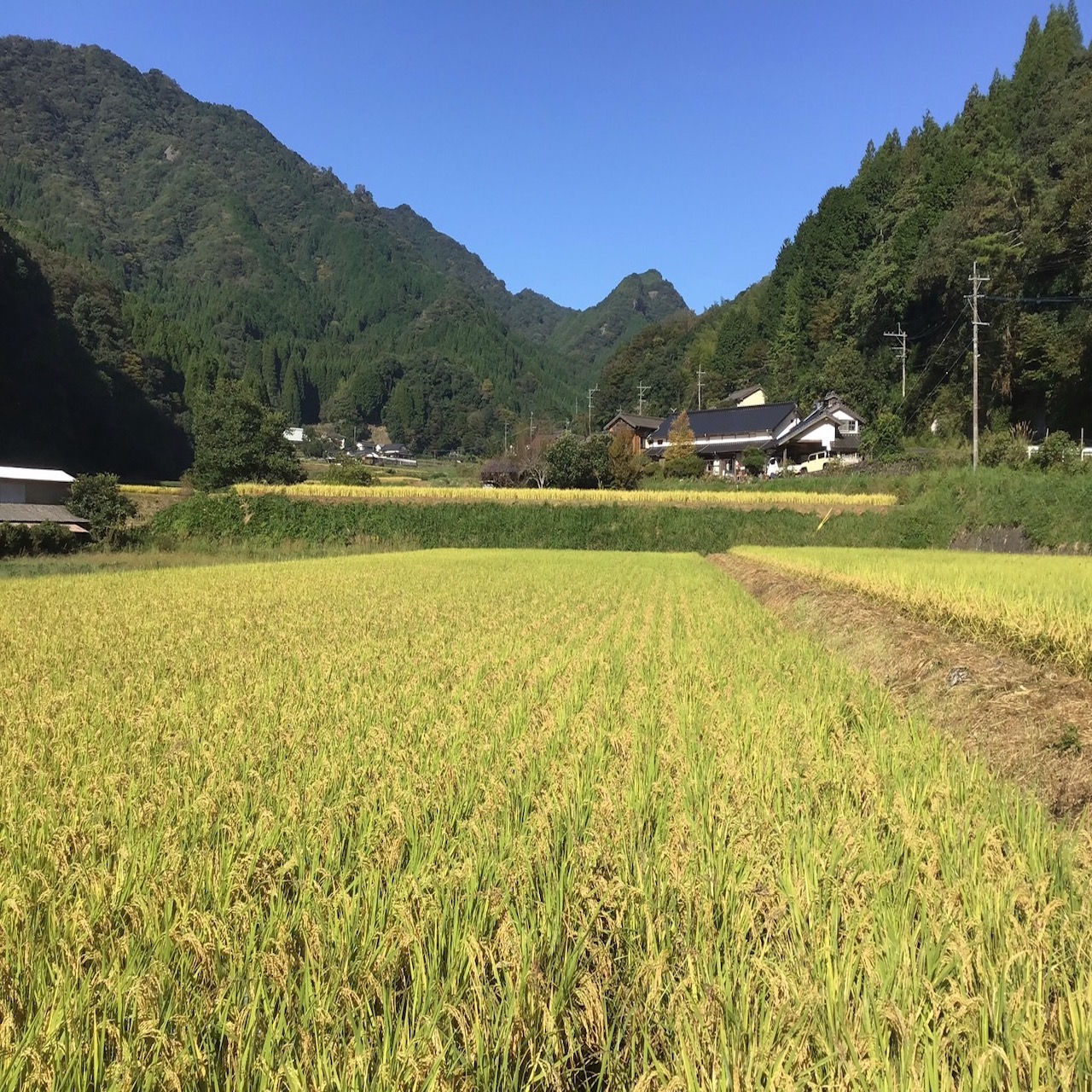 樋桶の郷　おはなし会