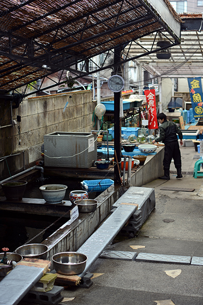 江戸から続く金魚問屋、「金魚坂」。東大近くの静かな坂の小径にひっそりと。