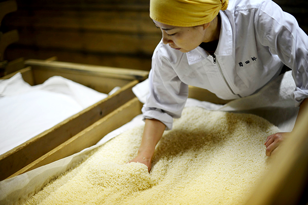 麹菌の繁殖を促すために「へぎ（木箱）」に盛り込む作業。日本酒の吟醸香のような麹の香りが漂います