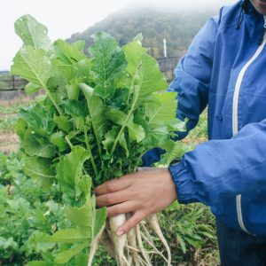 採れたての野菜でのBBQ…格別です！