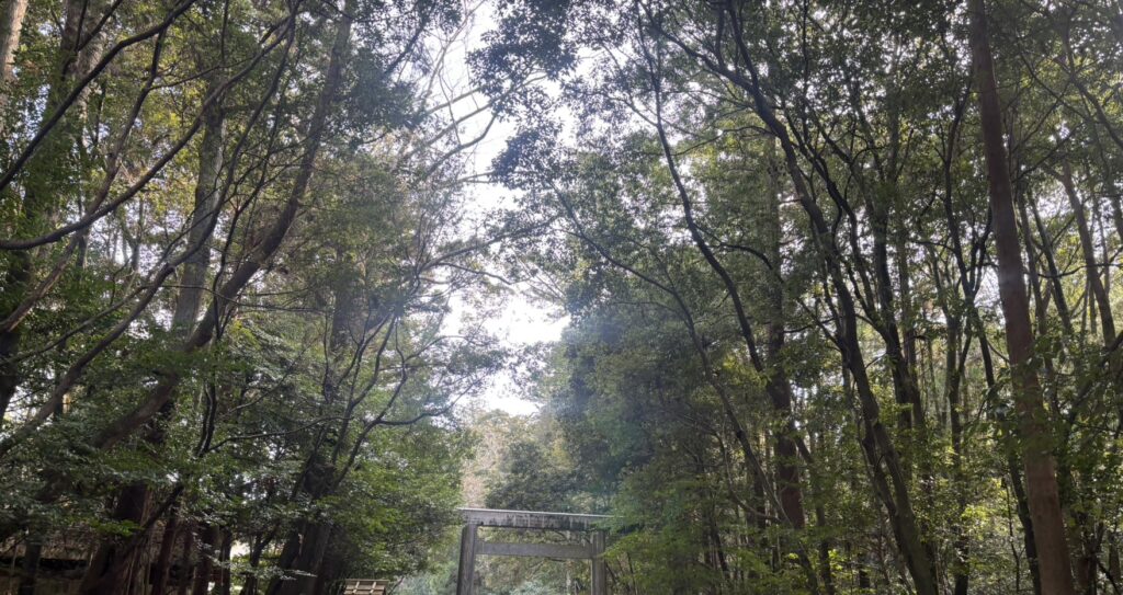 「小さな神さま」を考える、1月のてならい堂。のアイキャッチ画像