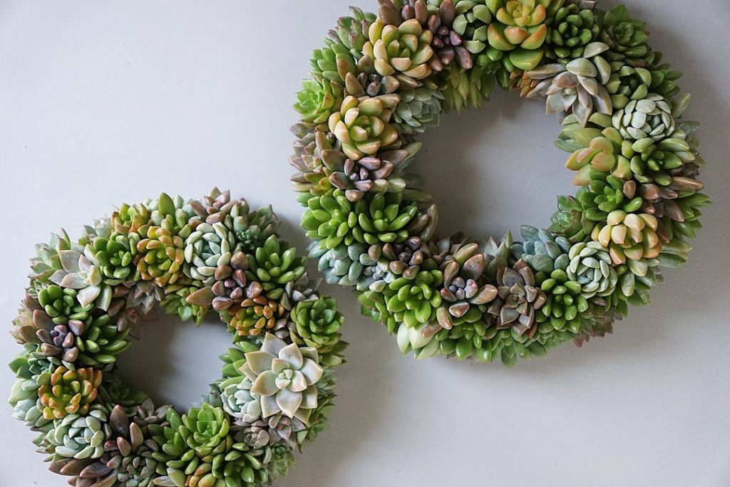 tokiiro wreathのアイキャッチ画像