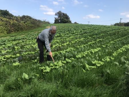 ▲野菜の紹介をして下さっている代表の田下さん。 