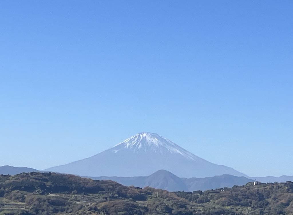 「生活を新陳代謝する」を考える、1月のてならい堂。のアイキャッチ画像