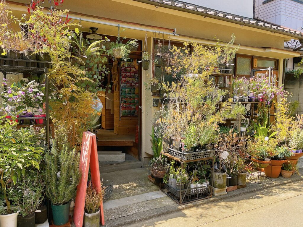 【てならい後記】園芸店に教わる。はじめての園芸“店”ワークショップ。第4期5回目のアイキャッチ画像