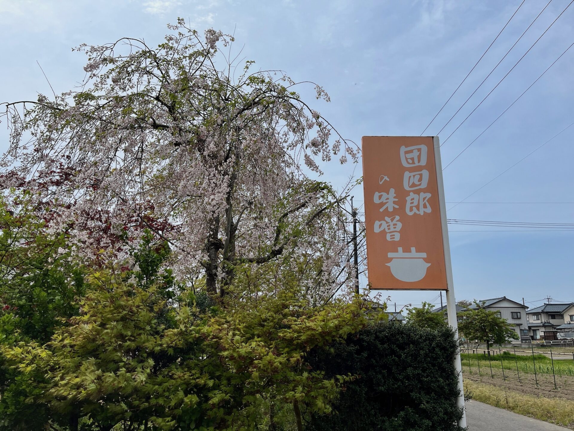 そうそう、つい先日、団四郎味噌さんでは正式に3代目から4代目へと事業が継承されたそうです。4代目はゆたかさんと康代さんのご夫婦。てならい堂がご一緒してきた10年の中でも大きな変化がありましたね。