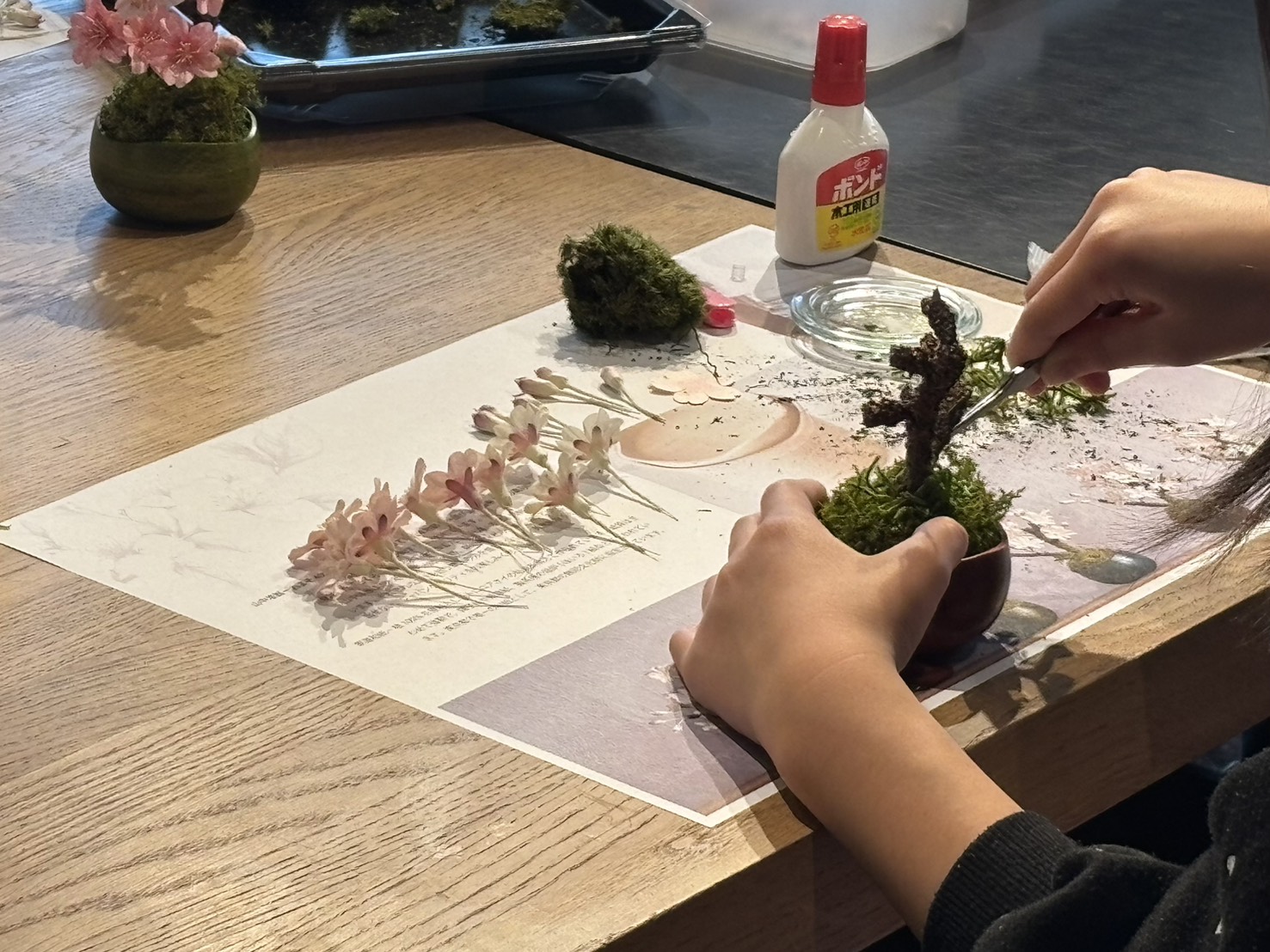 てならい後記】 植物のような拭き漆の器と、自然素材だけでつくった